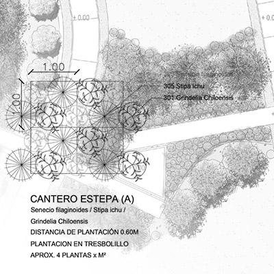 Curso Diseñar con la vegetación 