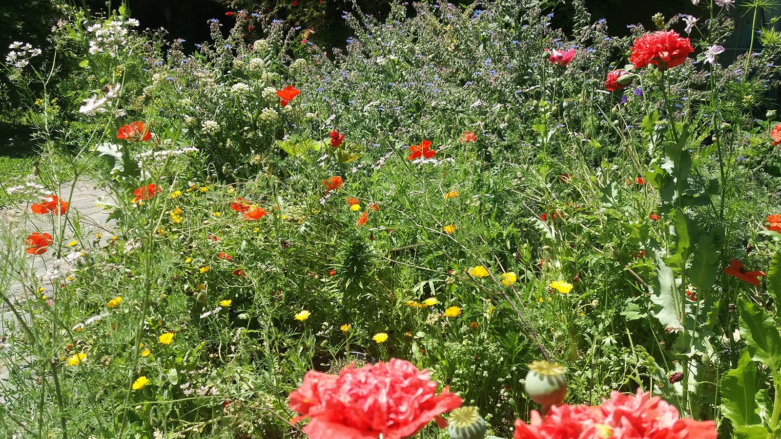 HUERTA JARDÍN