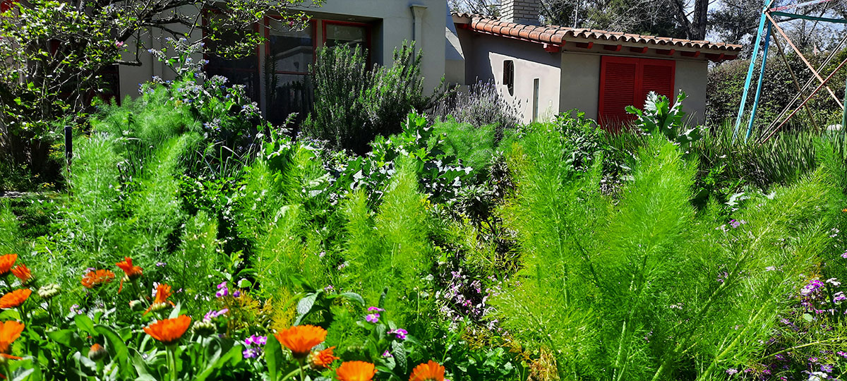 JARDÍN COMESTIBLE DEL VISO