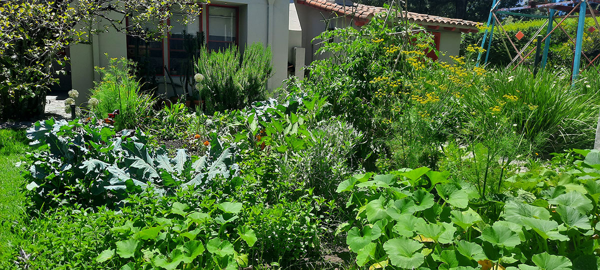 JARDÍN COMESTIBLE DEL VISO