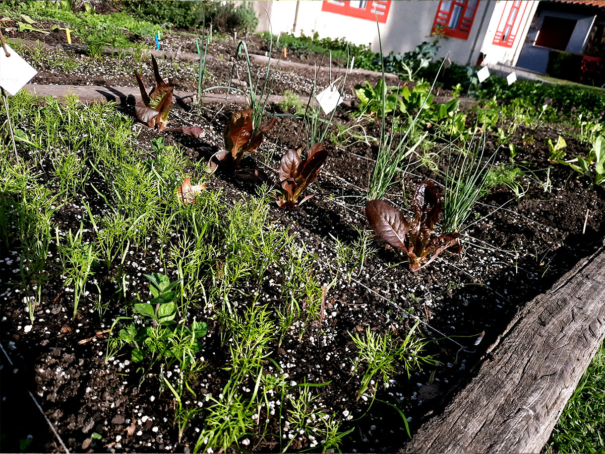 JARDÍN COMESTIBLE DEL VISO