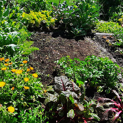 JARDÍN COMESTIBLE DEL VISO