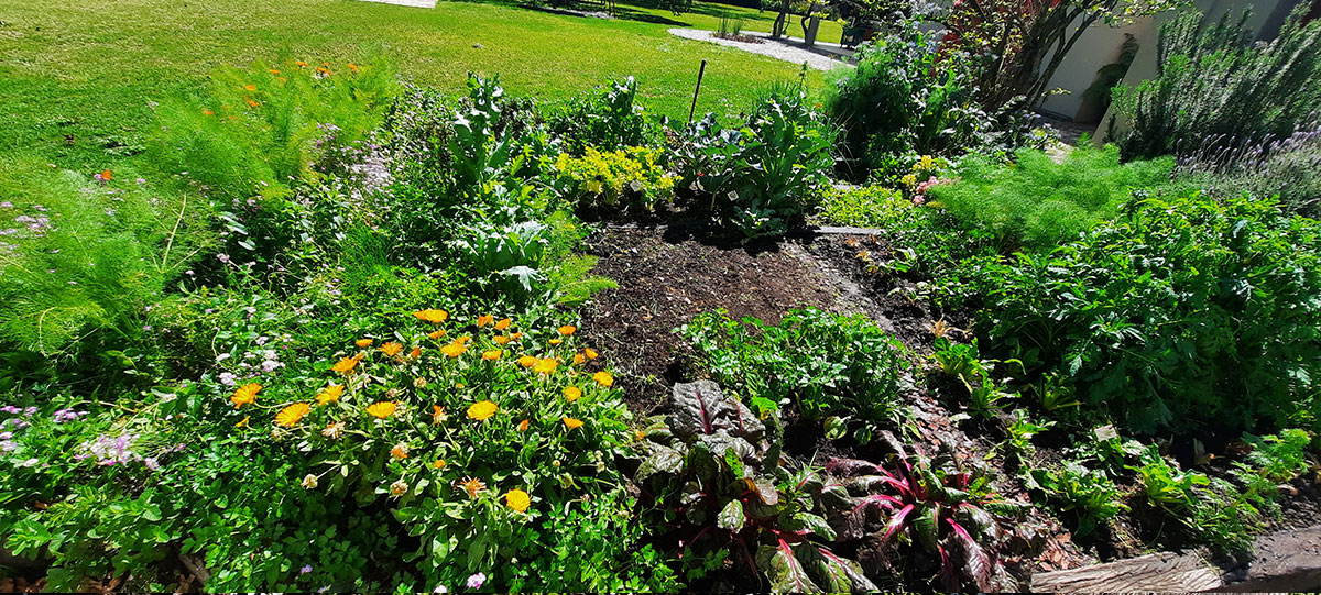 JARDÍN COMESTIBLE DEL VISO