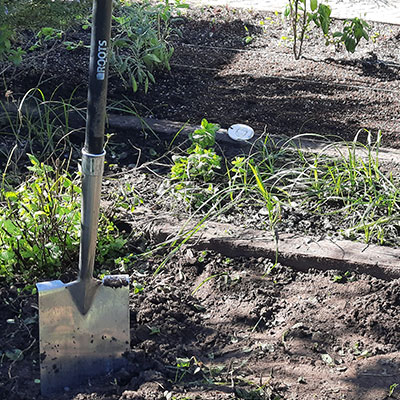 JARDÍN COMESTIBLE DEL VISO