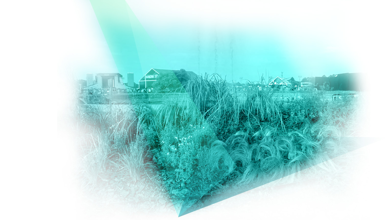 LOLLAPALOOZA | Plus Urbano | Paisaje - Arquitectura - Ambiente