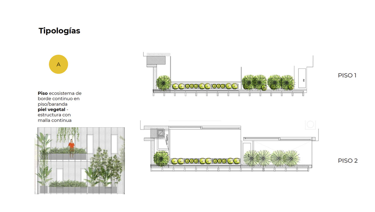 MICROECOSISTEMAS DE FACHADA VEGETAL 