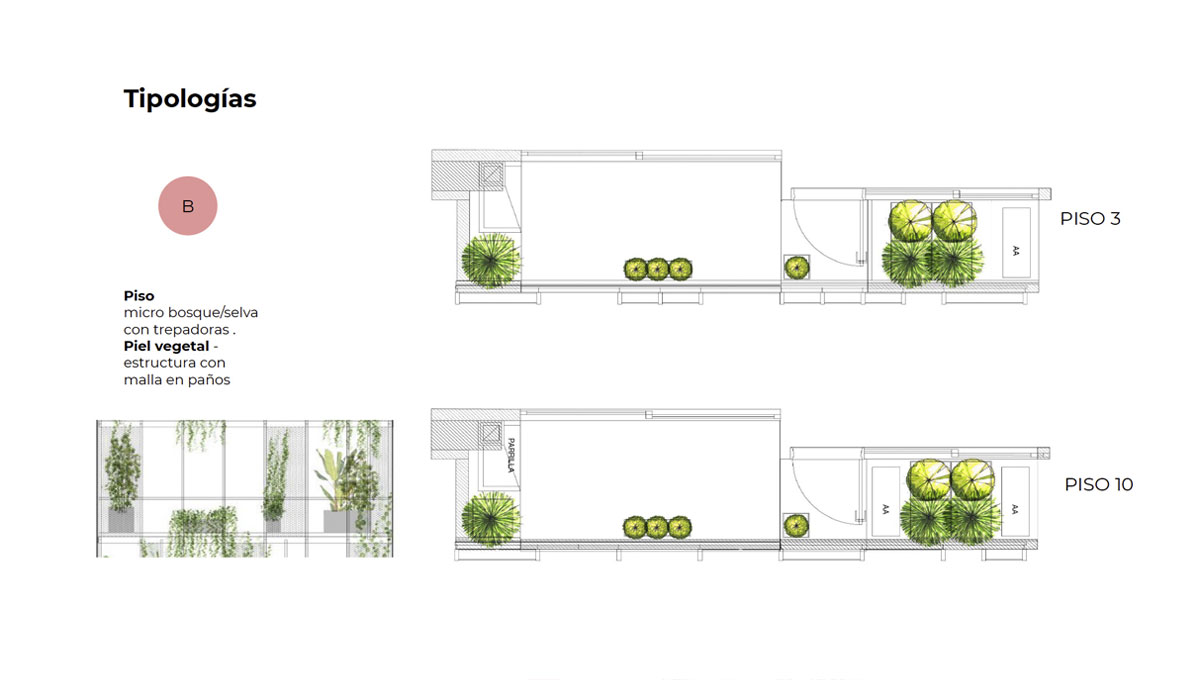 MICROECOSISTEMAS DE FACHADA VEGETAL 