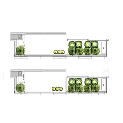 MICROECOSISTEMAS DE FACHADA VEGETAL 