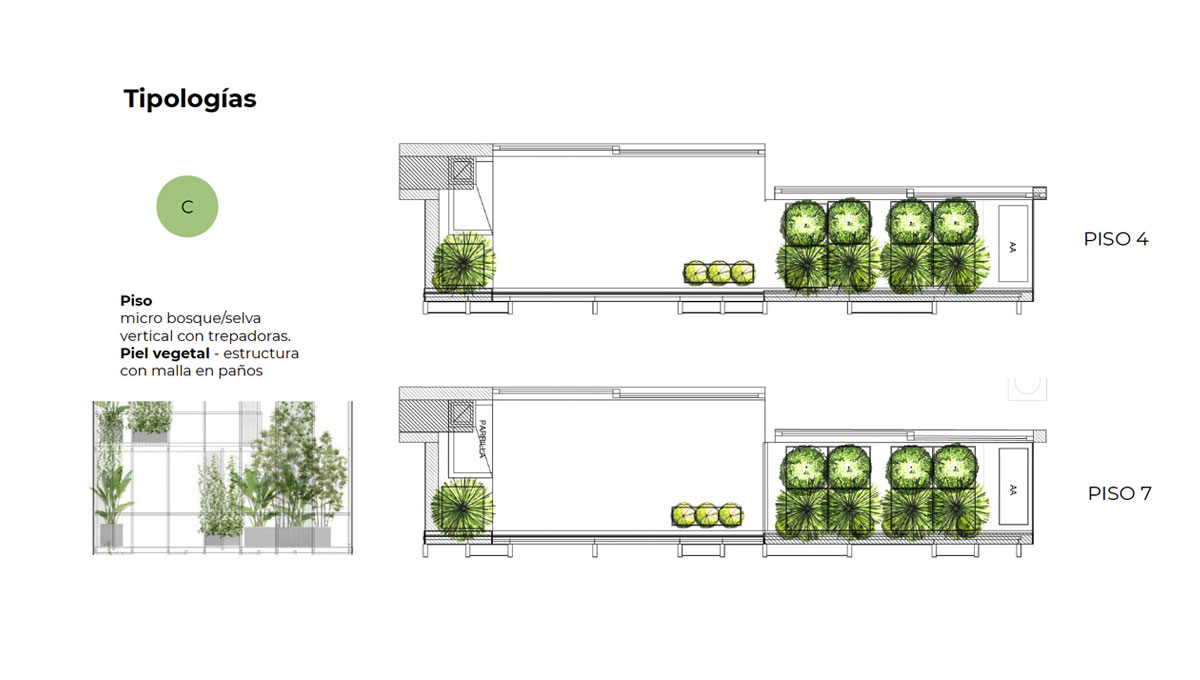 MICROECOSISTEMAS DE FACHADA VEGETAL 