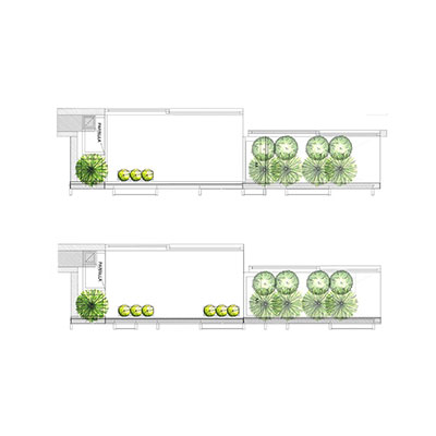 MICROECOSISTEMAS DE FACHADA VEGETAL 