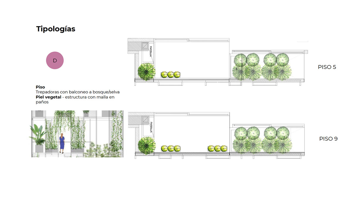 MICROECOSISTEMAS DE FACHADA VEGETAL 