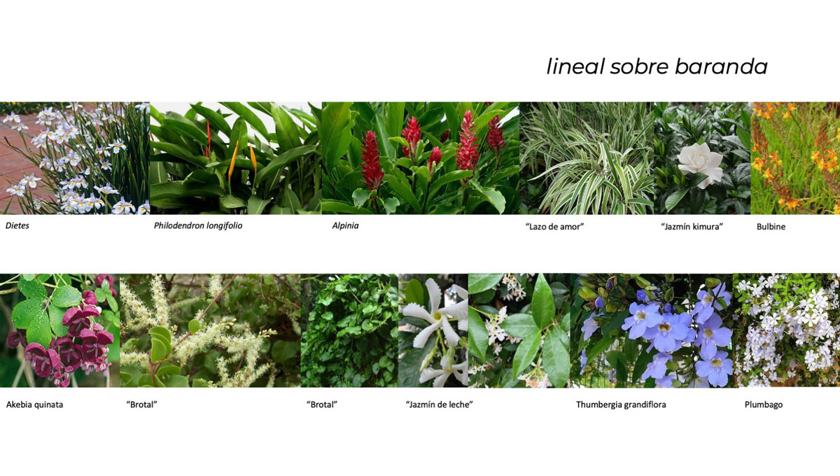 MICROECOSISTEMAS DE FACHADA VEGETAL 